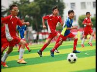 挪威VS塞内加尔直播_挪威VS塞内加尔免费高清在线直播_挪威VS塞内加尔免费直播视频直播