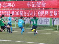 巴西VS海地直播_巴西VS海地免费直播视频高清无卡顿_巴西vs海地直播_巴西vs海地世界杯直播_巴西vs海地免费高清直播